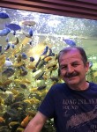 orhan, 57  , Denizli