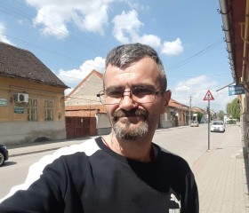 Ovidiu Strein, 42 года, Caransebeş