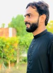 Tanveer Ali, 28 лет, لاہور