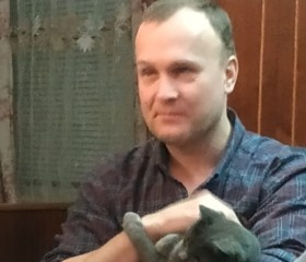 Сергей, 48 лет, Санкт-Петербург