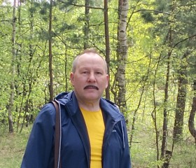 Александр, 61 год, Ковылкино