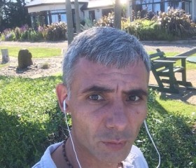 Zauri, 41, Loch Garman