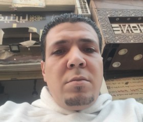 Amr, 39, Alexandria