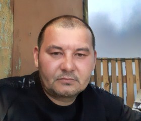 Ильдар Мукашев, 45 лет, Мошково