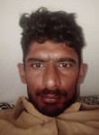Zeeshan virk, 27 лет, لاہور
