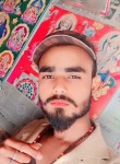 Niranjan jee, 23 года, Sirhind