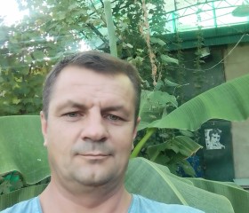 Дмитрий, 46 лет, Бишкек