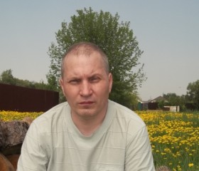 Михаил, 57 лет, Раменское