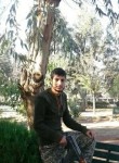 علووووش, 31 год, مدينة حمص