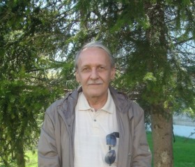 Валерий, 68 лет, Зеленогорск (Красноярский край)