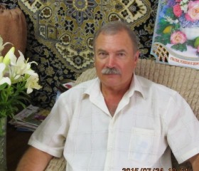 Геннадий, 68 лет, Петровск