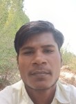 Brijesh, 27 лет, Jalandhar