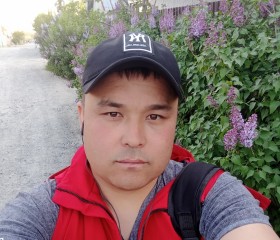 Эдил, 34 года, Бишкек