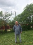 Анатолий Матвеев, 65 лет, Сергиев Посад