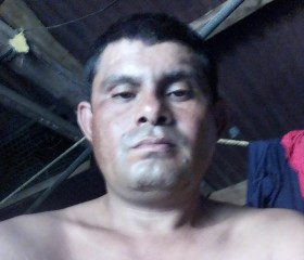 Humberto espinal, 38 лет, San Miguel