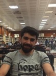 Lokman, 26 лет, Köseköy