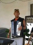 Altair pereira, 54 года, Região de Campinas (São Paulo)