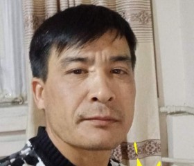 Болот Шакибеков, 43 года, Бишкек