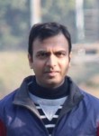 Pranay, 41 год, Greater Noida