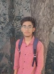 Rathore, 19 лет, New Delhi