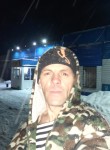 Степан, 43 года, Шемонаиха
