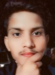 Vikas Vikas, 18 лет, Kanpur