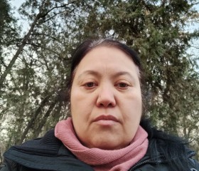 Айсу, 48 лет, Бишкек