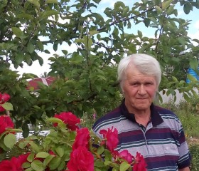 Михаил, 71 год, Старобін