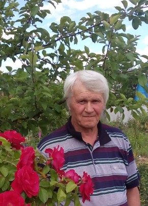 Михаил, 71, Рэспубліка Беларусь, Старобін