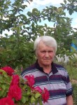 Михаил, 71 год, Старобін