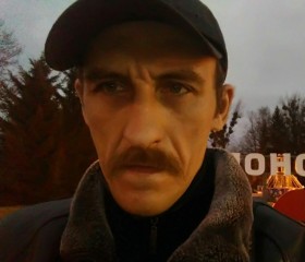 Дмитрий, 49 лет, Мамоново