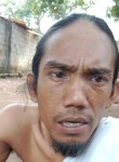 Djokosusanto Djo, 52 года, Djakarta
