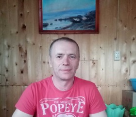 Александр, 49 лет, Плесецк