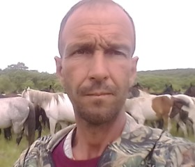 Владислав, 48 лет, Уссурийск