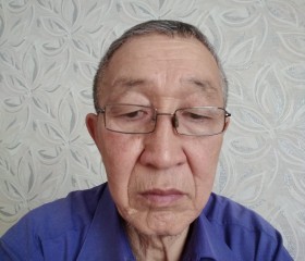 MIKHAIL ARSHAEV, 69 лет, Элиста