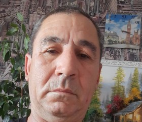 Миша, 53 года, Тольятти