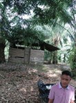 Dimar, 25 лет, Padangsidempuan