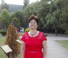 Людмила, 72 года, Новоалтайск