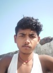 Sany Kumar, 19 лет, Pathankot