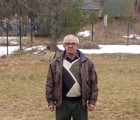 Иван, 62 года, Всеволожск