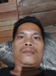 dory, 37 лет, Kota Padang