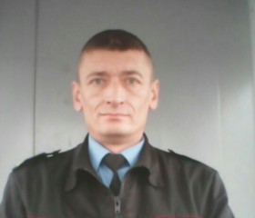 Виталий, 46 лет, Боровичи