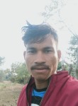 Pramod,thakur, 23 года, Karelī