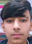 Miraz Rehman, 18 лет, ڈجکوٹ‎