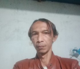 Mas Hary, 55 лет, Kota Mojokerto