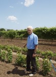 Ved, 74, Kazanluk