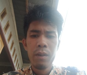 Viktor nehe, 27 лет, Kota Medan