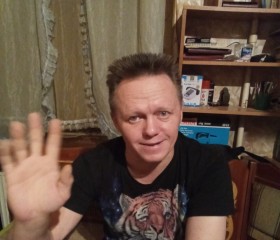 Роман, 50 лет, Санкт-Петербург