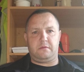 Дмитрий, 45 лет, Псков