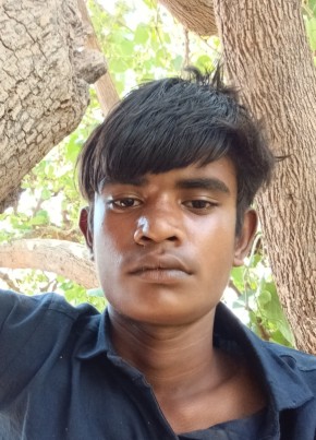 અલ્પેશ, 20, India, Bhavnagar